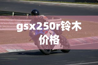 gsx250r铃木价格  第1张