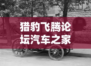 霍雨浩武魂融合技  第1张