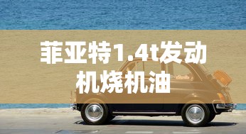 菲亚特1.4t发动机烧机油  第1张