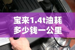 宝来1.4t油耗多少钱一公里  第1张