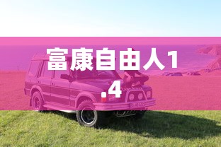 富康自由人1.4  第1张