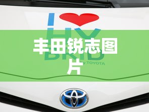 丰田锐志图片  第1张