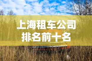 上海租车公司排名前十名  第1张