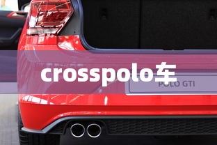 crosspolo车  第1张