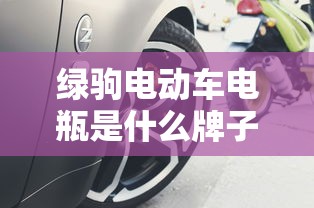 绿驹电动车电瓶是什么牌子  第1张
