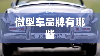 微型车品牌有哪些  第1张