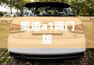 奥迪a1两门版  第1张