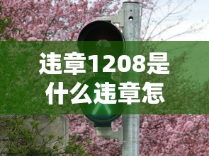 违章1208是什么违章怎么处理  第1张