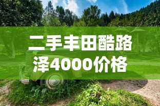 二手丰田酷路泽4000价格  第1张