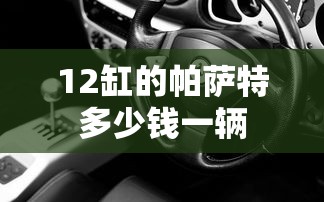 12缸的帕萨特多少钱一辆  第1张