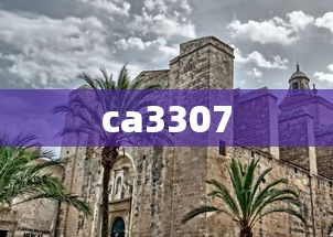 ca3307  第1张