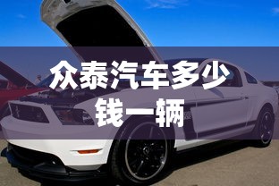众泰汽车多少钱一辆  第1张