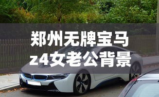 郑州无牌宝马z4女老公背景  第1张