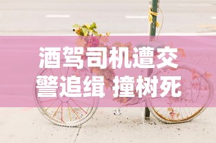 酒驾司机遭交警追缉 撞树死亡赔偿  第1张