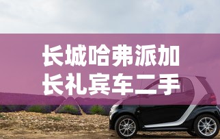 长城哈弗派加长礼宾车二手  第1张