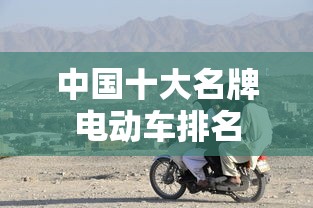 中国十大名牌电动车排名  第1张