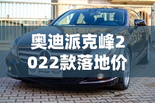 奥迪派克峰2022款落地价多少钱一辆  第1张