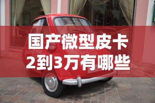 国产微型皮卡2到3万有哪些品牌  第1张