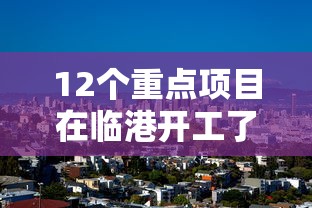 12个重点项目在临港开工了吗  第1张