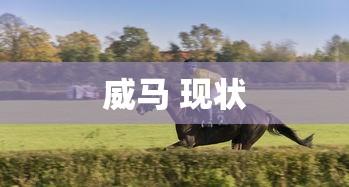 威马 现状  第1张
