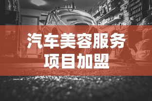 汽车美容服务项目加盟  第1张