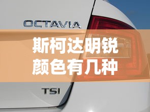 斯柯达明锐颜色有几种图片  第1张