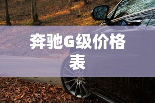 奔驰G级价格表  第1张