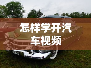 福建省林业厅张华坚简历  第1张