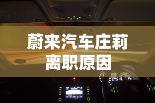 蔚来汽车庄莉离职原因  第1张
