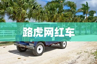 路虎网红车  第1张
