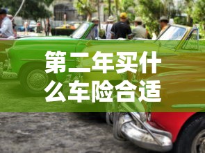 第二年买什么车险合适  第1张