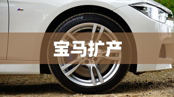 宝马扩产  第1张