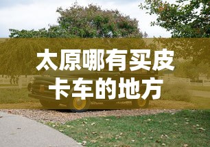 太原哪有买皮卡车的地方  第1张