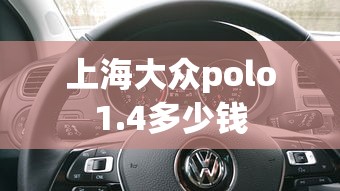 上海大众polo1.4多少钱  第1张