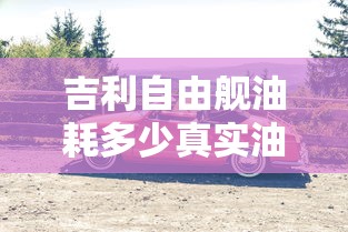 吉利自由舰油耗多少真实油耗  第1张