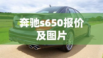 奔驰s650报价及图片  第1张