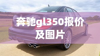 奔驰gl350报价及图片  第1张
