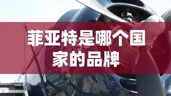 菲亚特是哪个国家的品牌  第1张