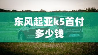 东风起亚k5首付多少钱  第1张