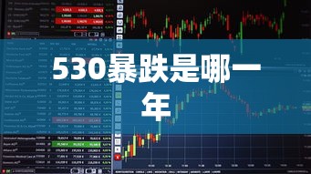 530暴跌是哪一年  第1张