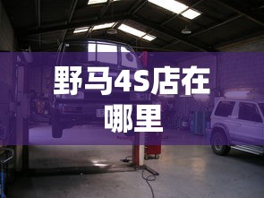 野马4S店在哪里  第1张