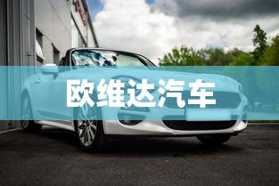 欧维达汽车  第1张