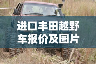 进口丰田越野车报价及图片  第1张