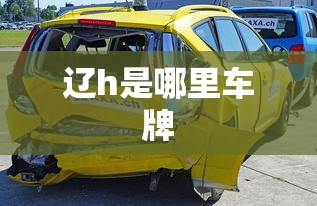 辽h是哪里车牌  第1张