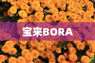 宝来BORA  第1张