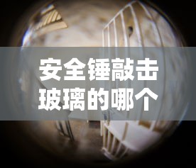 声母有多少个韵母有多少个  第1张