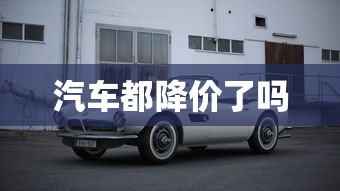 汽车都降价了吗  第1张