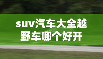 suv汽车大全越野车哪个好开  第1张
