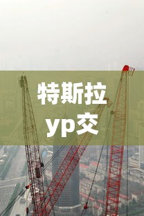 特斯拉yp交付  第1张