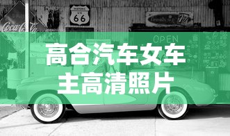 高合汽车女车主高清照片  第1张